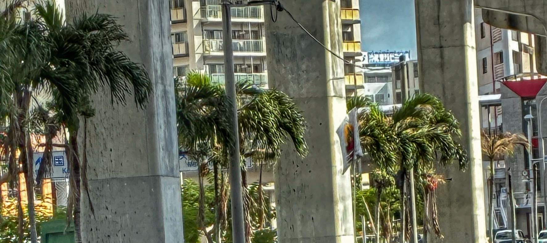 Gorilla Kart Okinawa - Foto e Costumi Gratuiti | Molti Orari Disponibili 